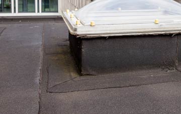 disadvantages of Branchton flat roofs