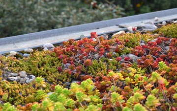the cost of Branchton green roof installation
