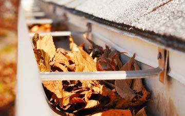 Branchton gutter cleaning companies