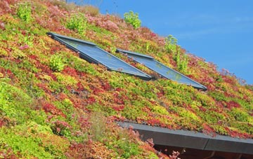 Branchton living roof systems