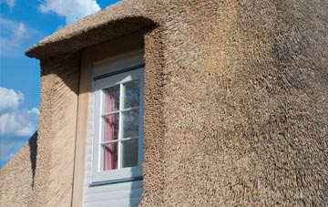Branchton thatch roof disadvantages