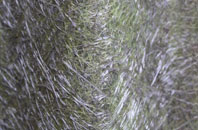 Branchton fibreglass roof work