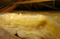 Branchton pitch roof insulation